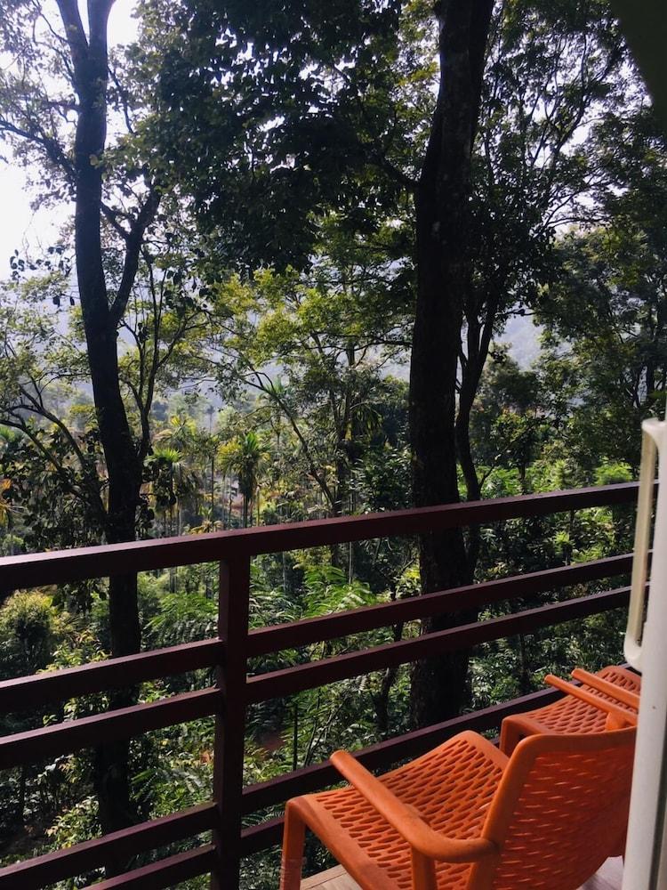 Wayand Whistling Woods