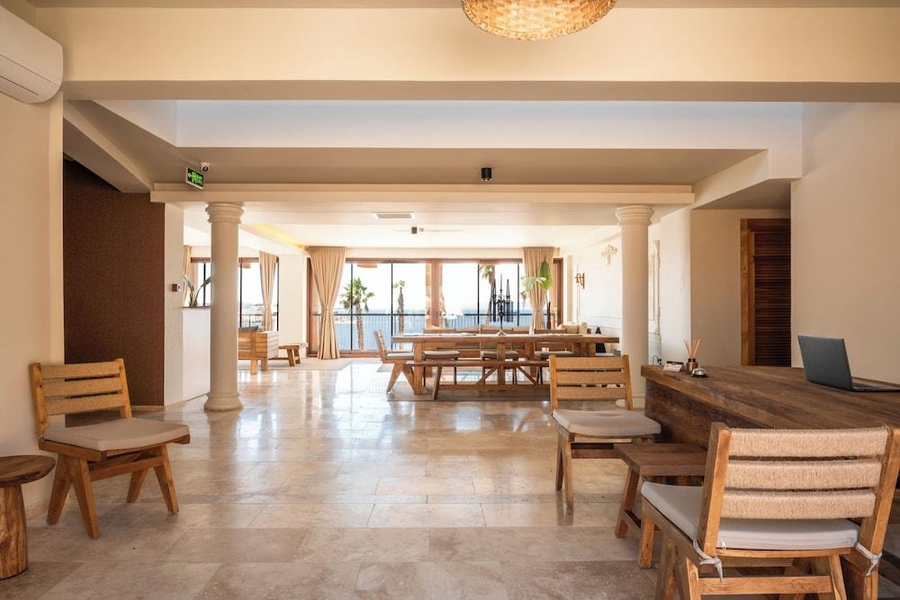 Ulmo Collection - Ayasaranda