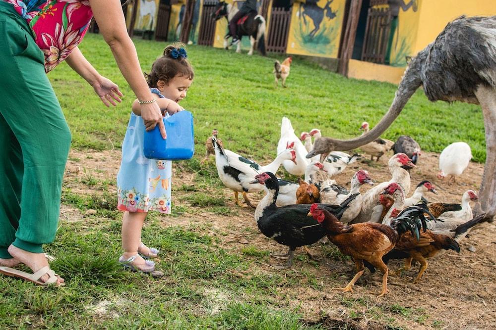 Hotel Fazenda Mirage