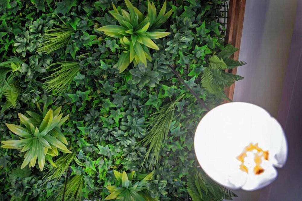 Molucano Themed Rooms