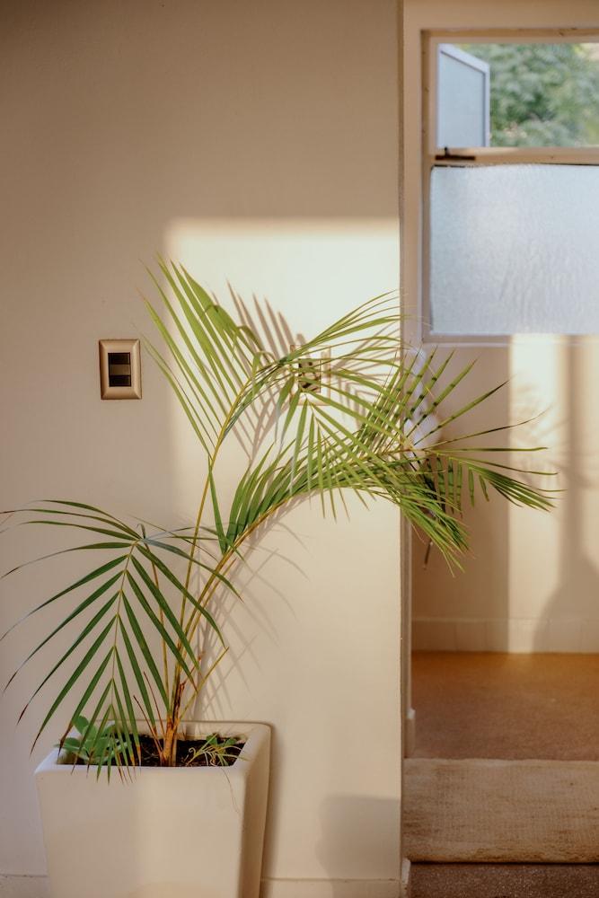 La Poza Boutique Hotel & Spa - Adults Only