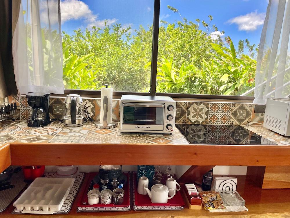 The Fruit Tree Garden Bromeliad Suite