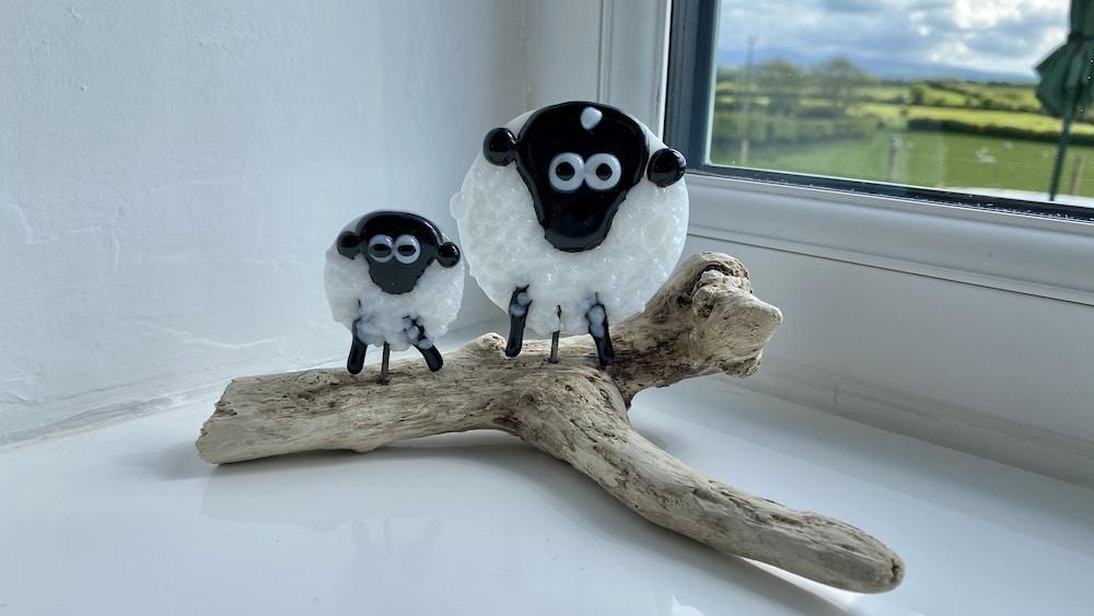 Beautiful, Private Farm Cottage in Anglesey