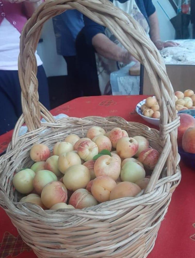 Bed and breakfast Villa Angelina