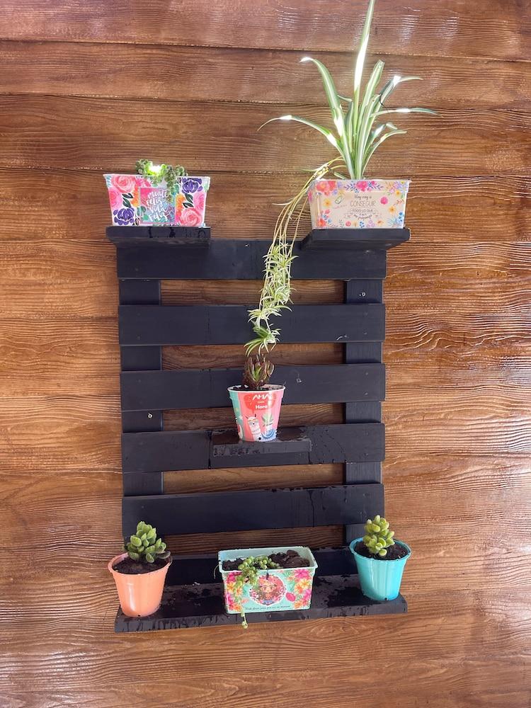 Los Dones Departamentos DAT