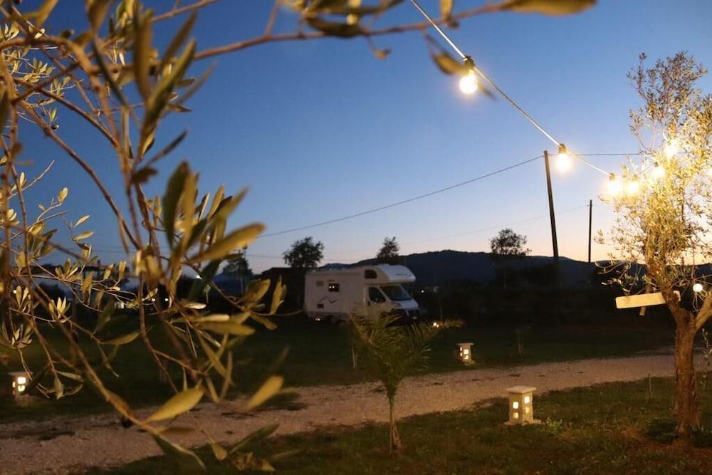 Campeggio in Fattoria