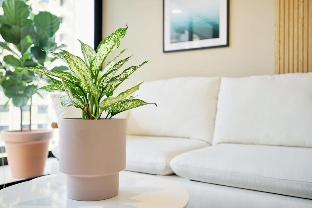 w Cool 1BR in San Francisco