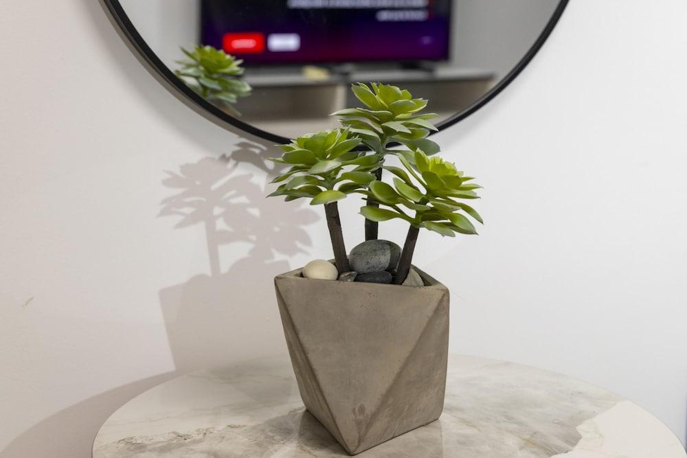 Palm Beach Apartment