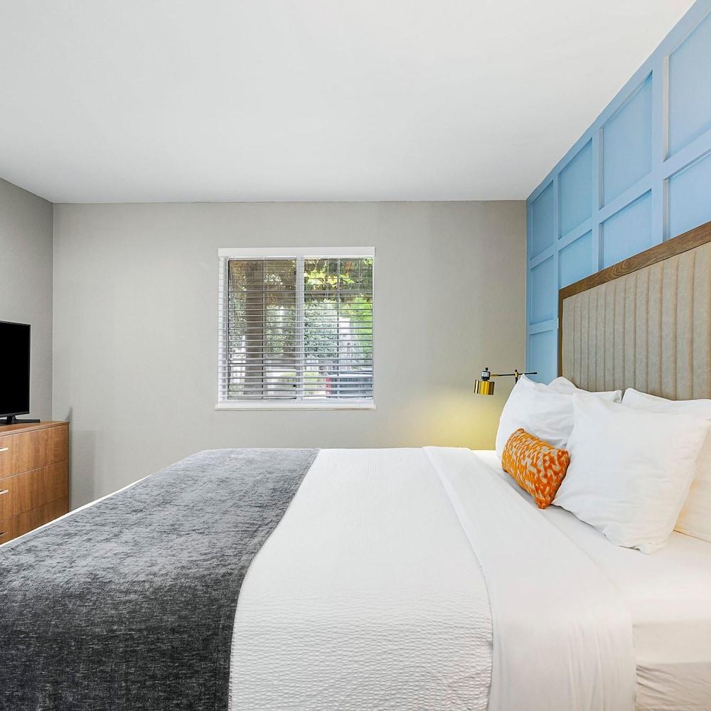 Newly Renovated Atlanta Gem Central Buckhead Apt