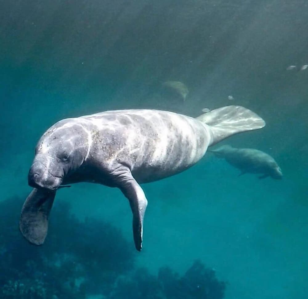 Costa de Cocos Xcalak