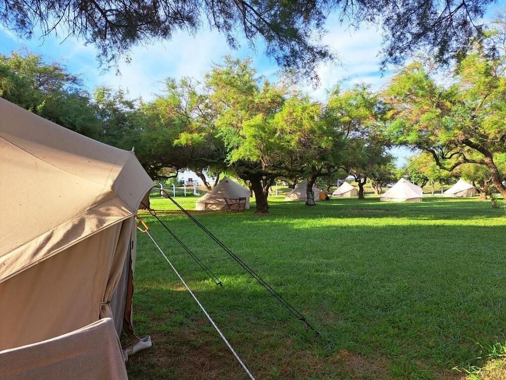 Bearsu Nature Almoxarife