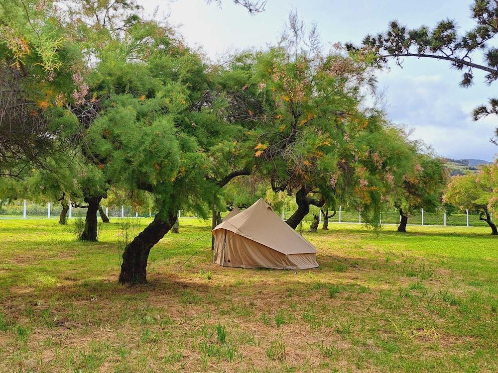 Bearsu Nature Almoxarife