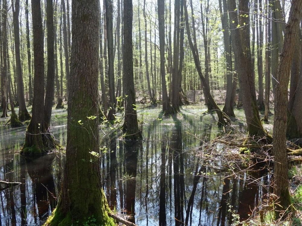 Captain House South Cats 8