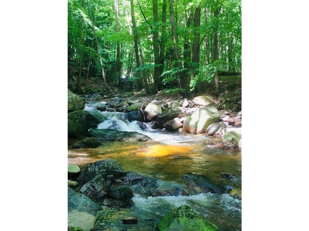 Villa _peacock Suite