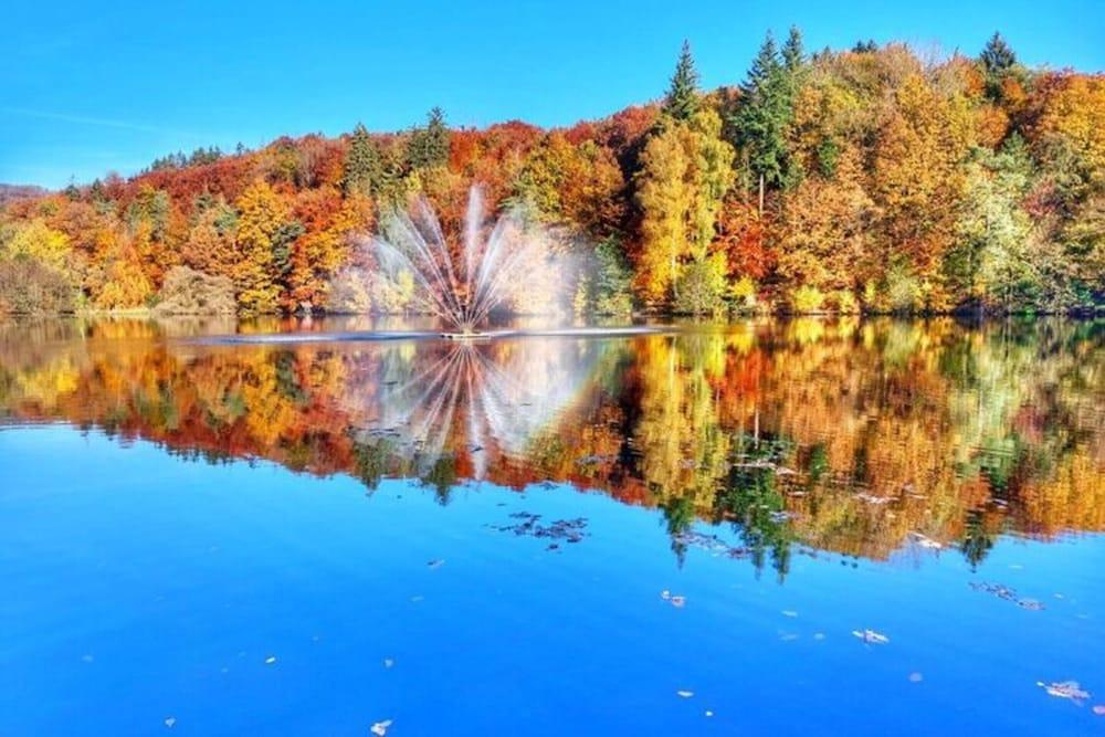 Classy Apartment in Bad Sachsa