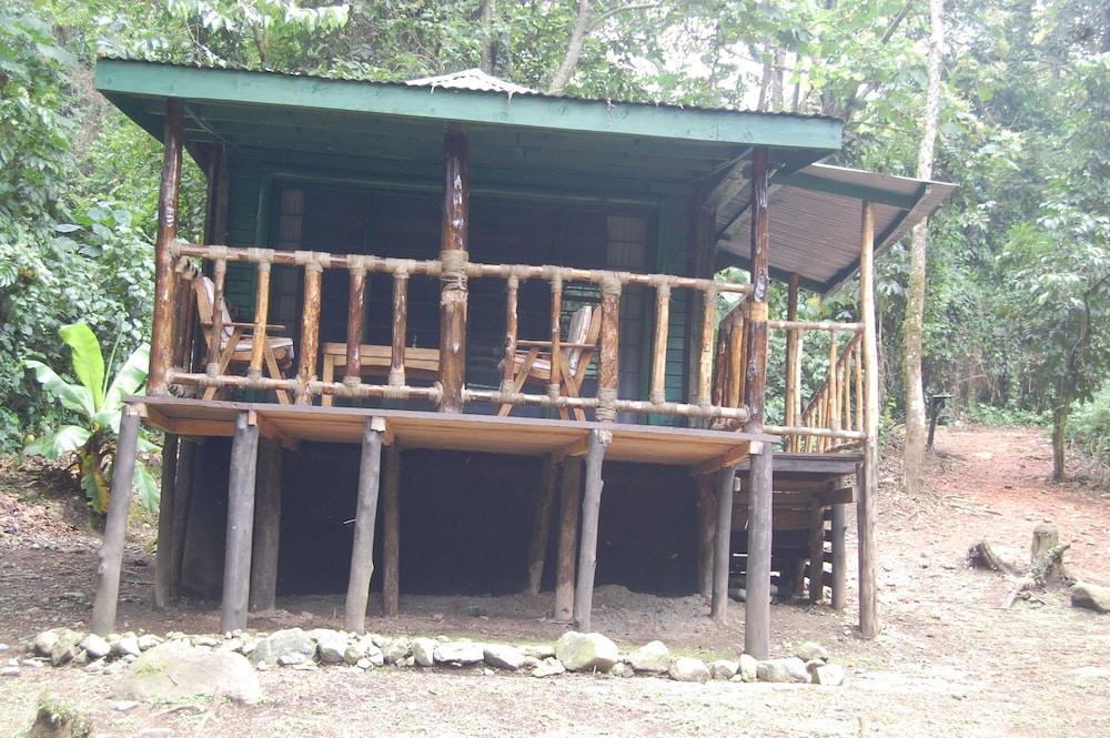 SNOWHEIGHTS LOGDE  MIHUNGA