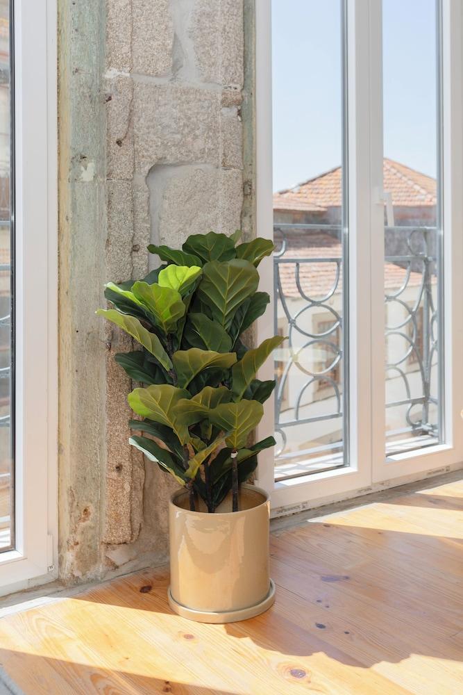 Liiiving in Gaia - THE WINE SIDE IV