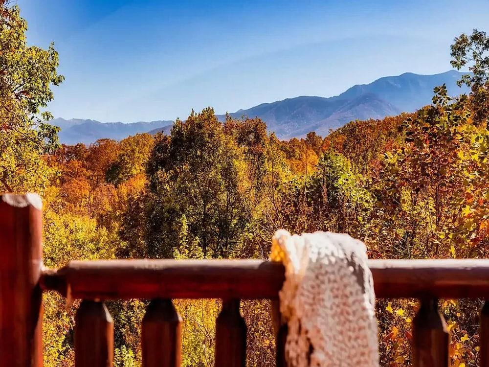 Bears Repeating by Jackson Mountain Rentals