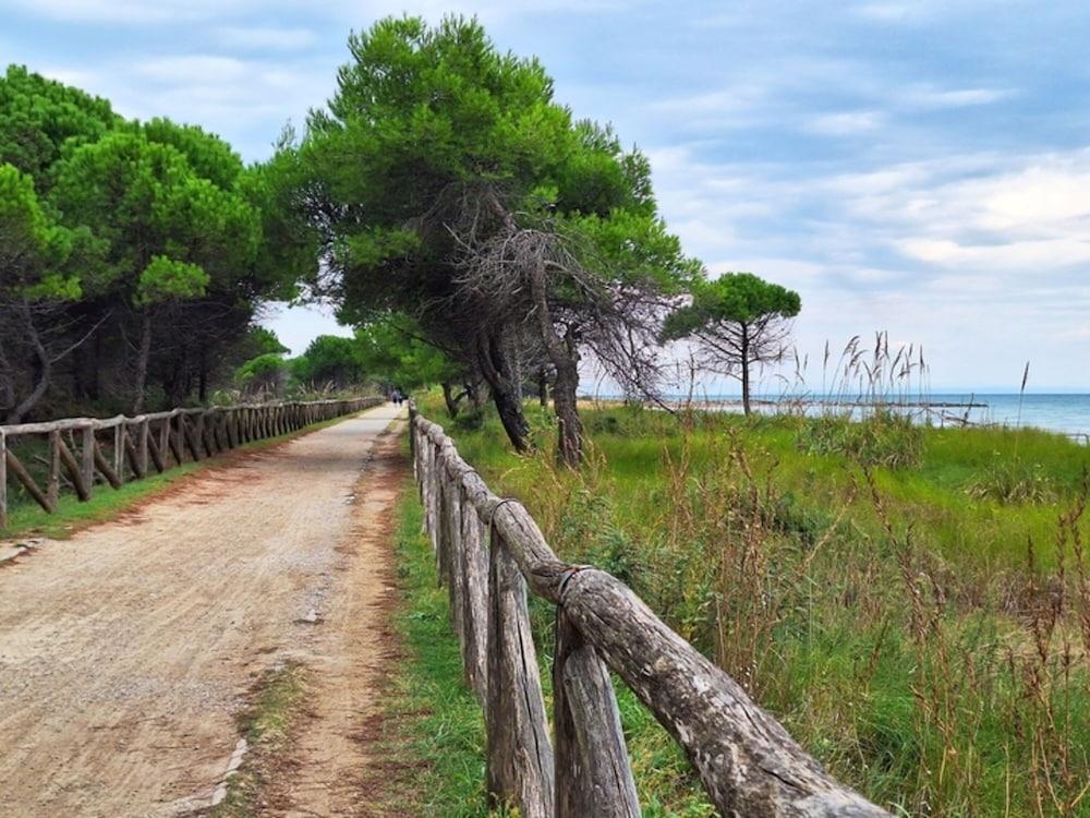 Flat a few Steps From the sea - Beahost