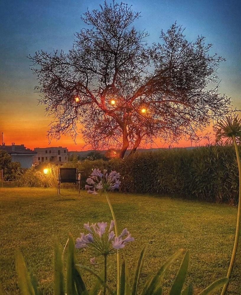 Taş Konak Eski Datça