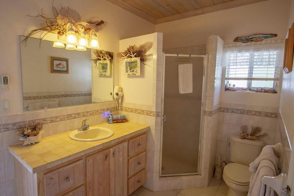 Flipper'S Haven: Tropical Retreat