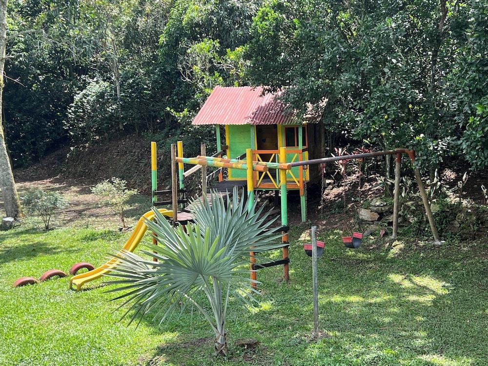 Oassis Conexion Sin Fronteras