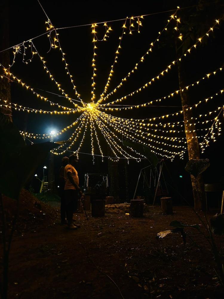 Skyfall Adventures Forest Pool Resort