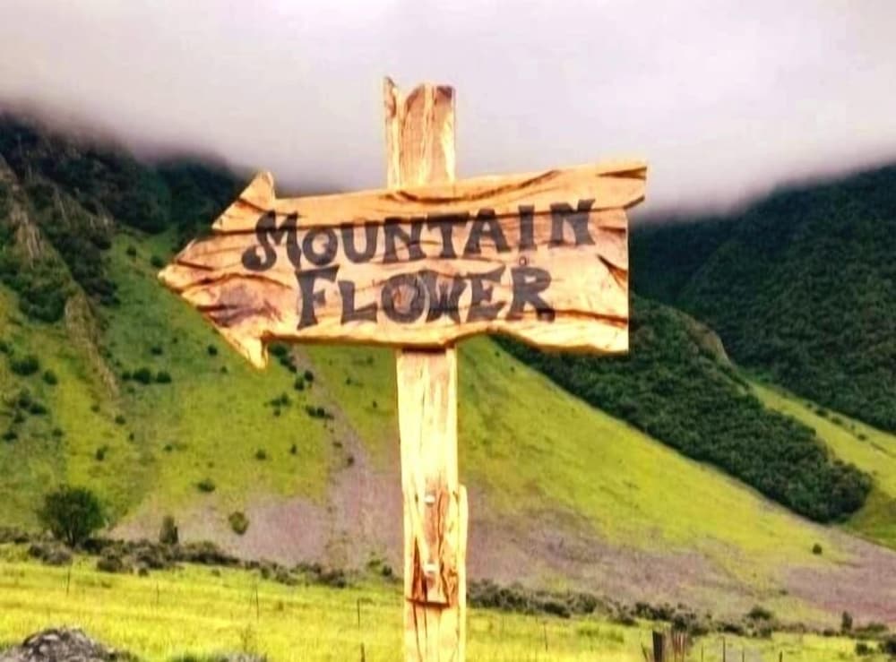 Mountain Flower cottage