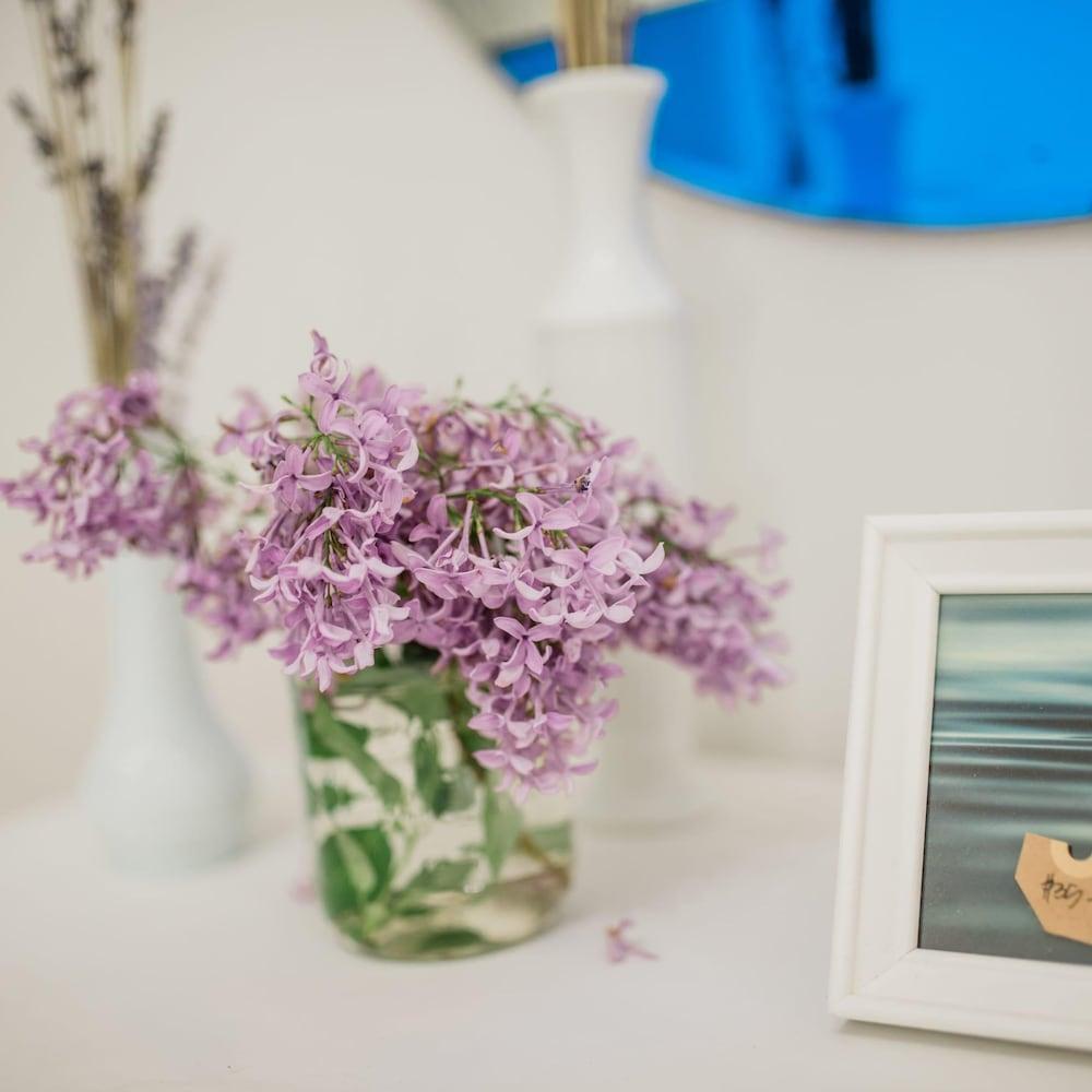 Mayson Room BW Boutique Hotel