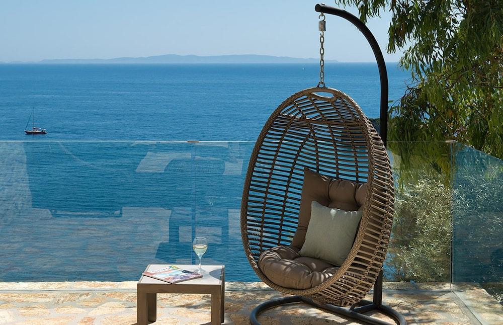 White Orchid Luisia in Vola