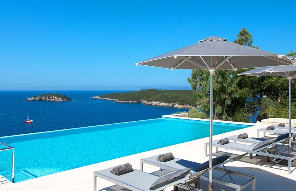 White Orchid Vanda in Vola