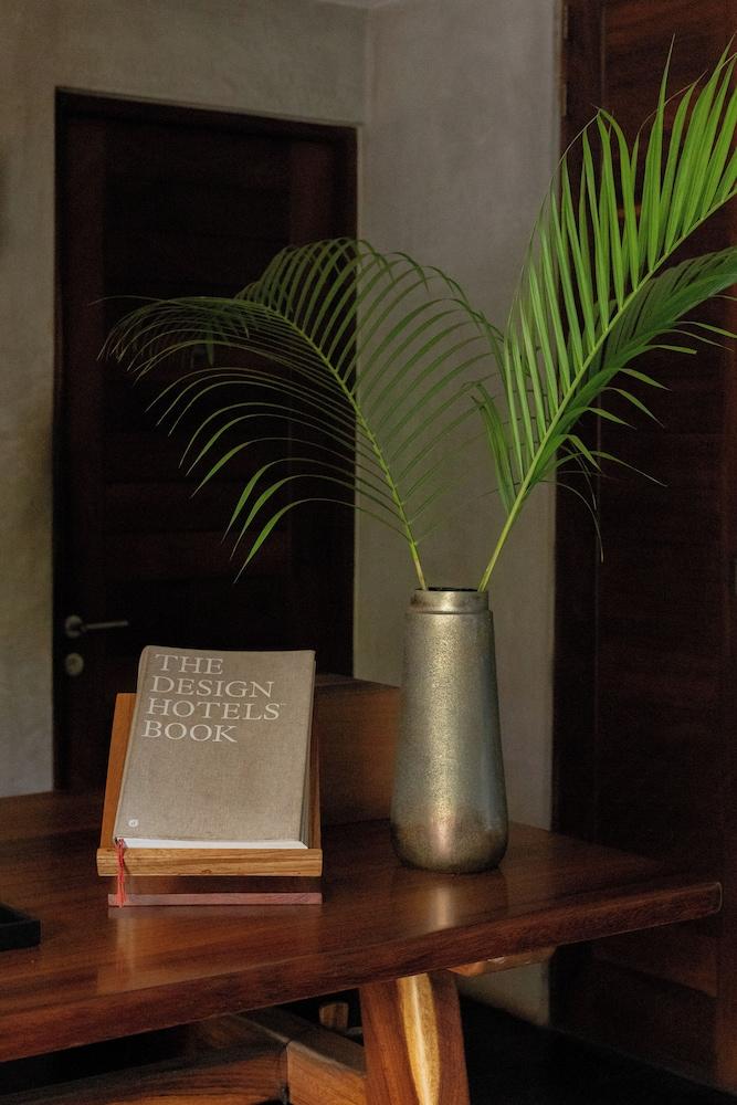 Lo Sereno Casa de Playa