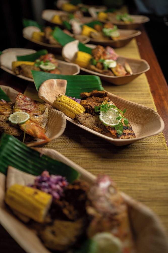 Wild Lotus Rainforest & River Glamping