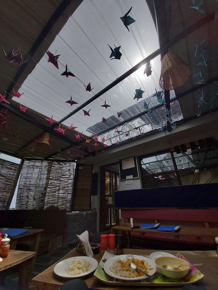 Utopia Dharamkot Mcleodganj