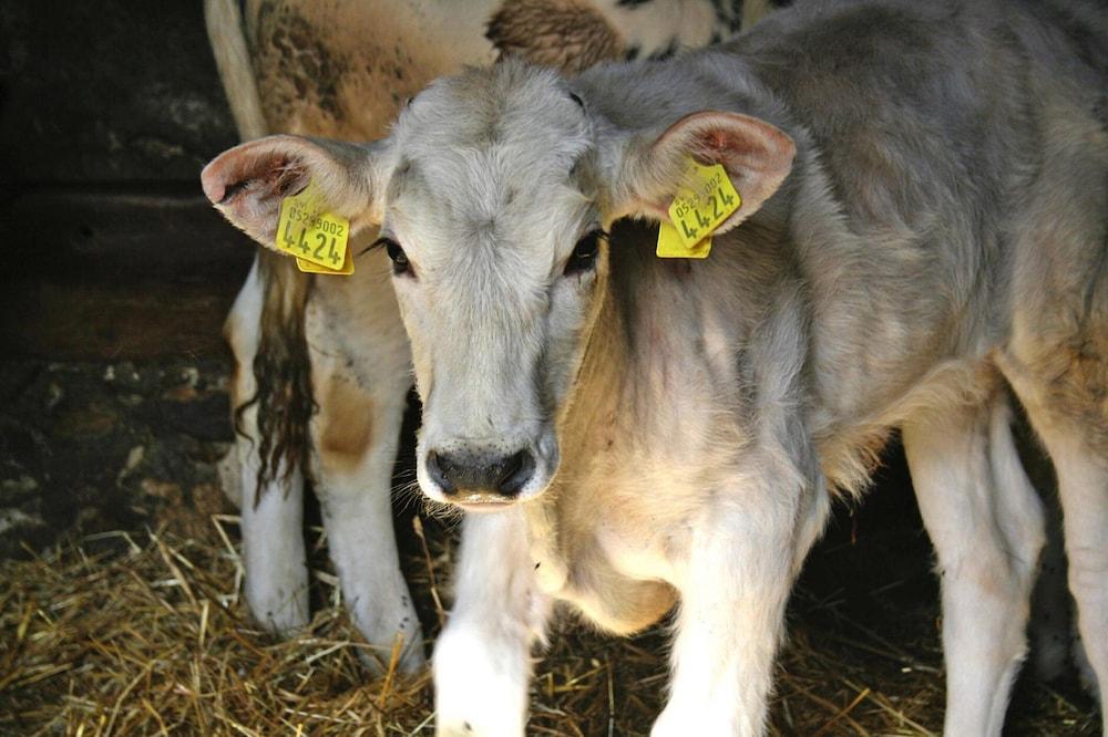 Country House in Chiusdino With Panoramic Views