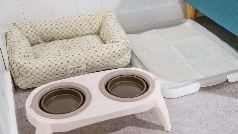 Yangpyeong Beulleosseom pet spa Pension