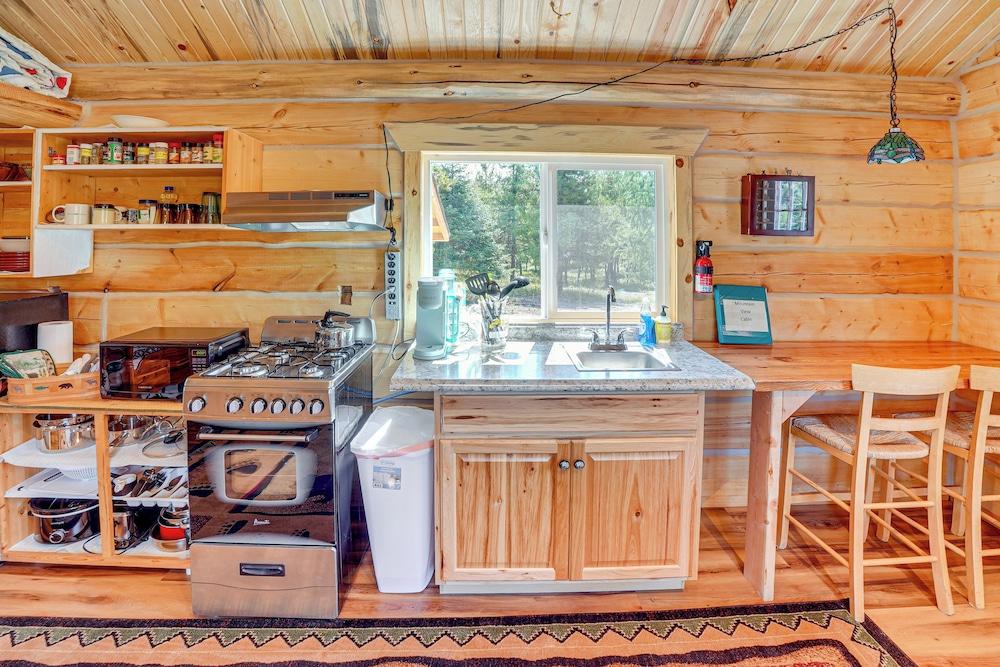 Trout Creek Tiny House w/ Mtn Views & Fireplace