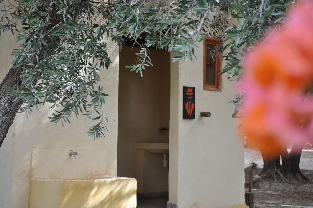 Bivouac Sous les palmiers bleus