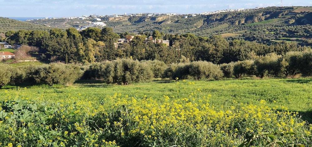 Villa Phyllia, a Property With History