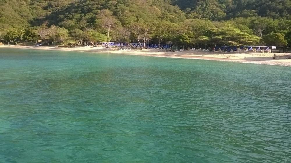 HOSTAL OLAS CLUB DE NEGUANJE - P TAYRONA