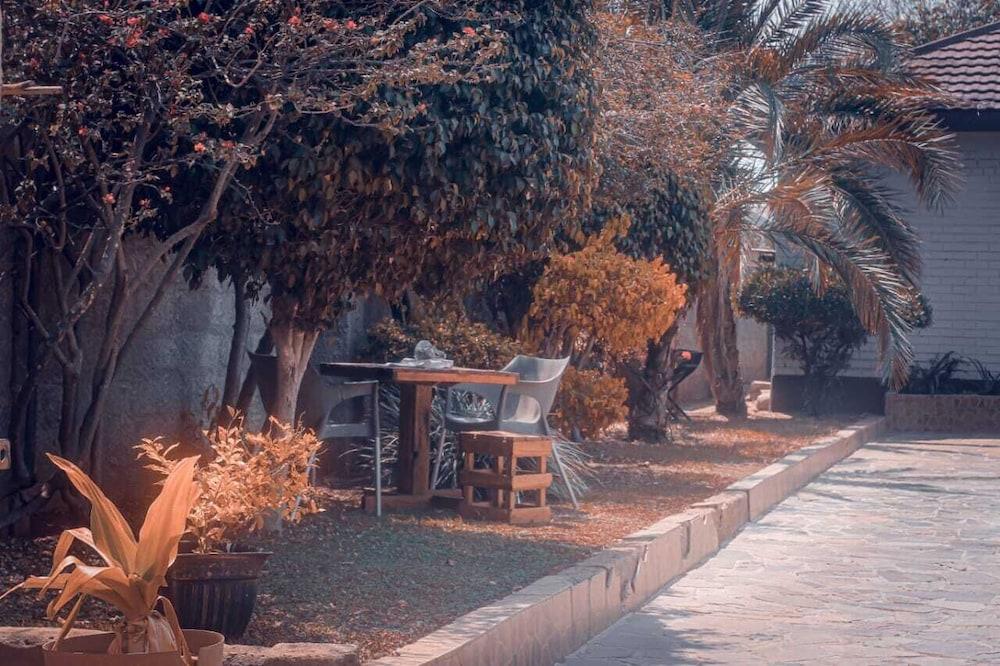 The Wild Thing Guesthouse