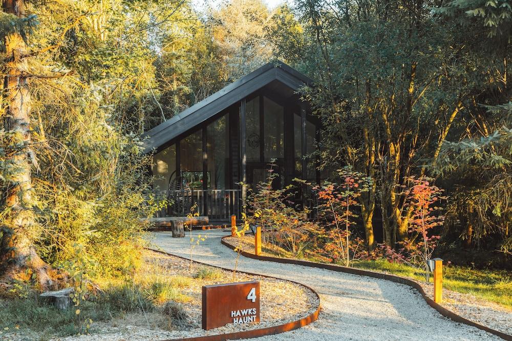 Drumhierny Woodland Hideaway