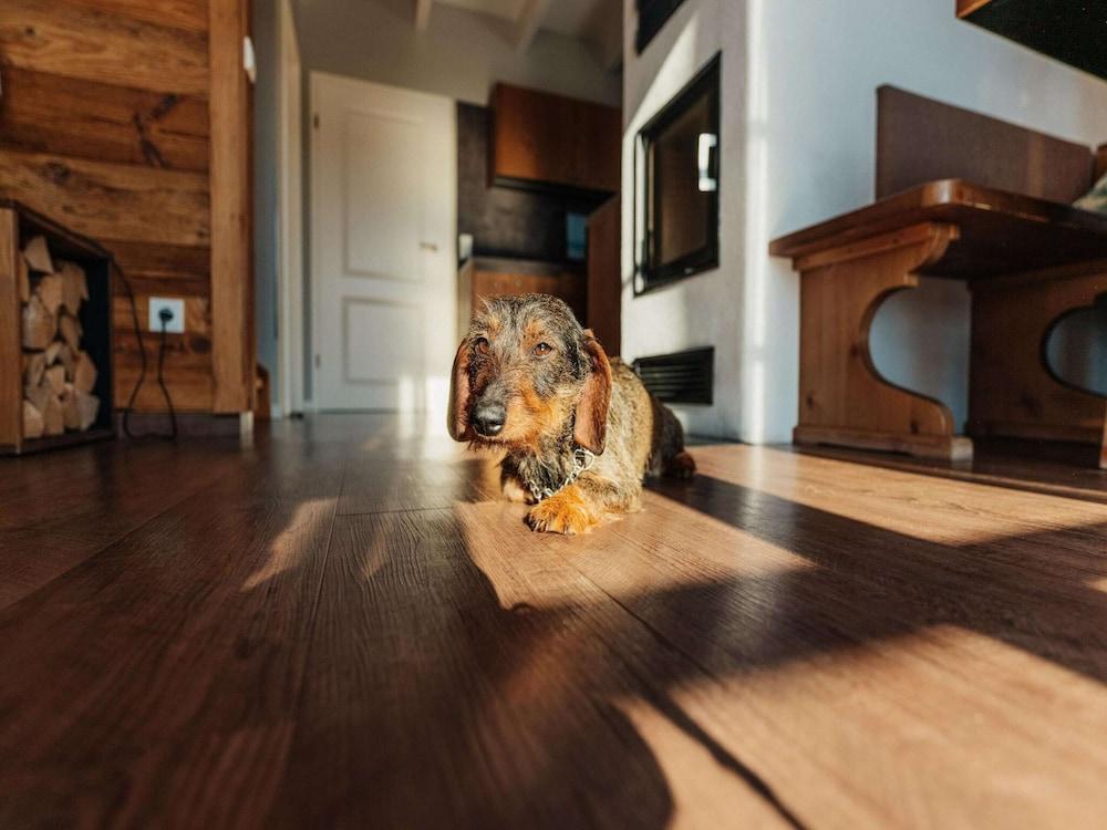 Chalet in Schierke Near Ski Slopes