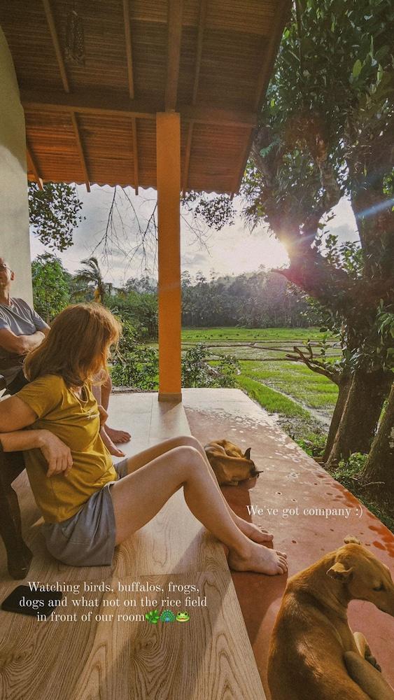 Forest & Fields Sinharaja