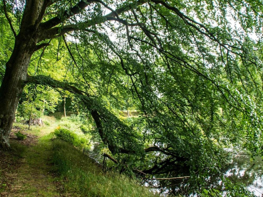 6 Person Holiday Home in Oster Assels