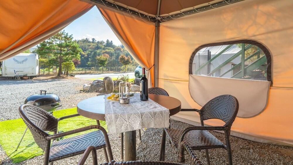 Gapeyong Fourseason Pet Glamping Caravan