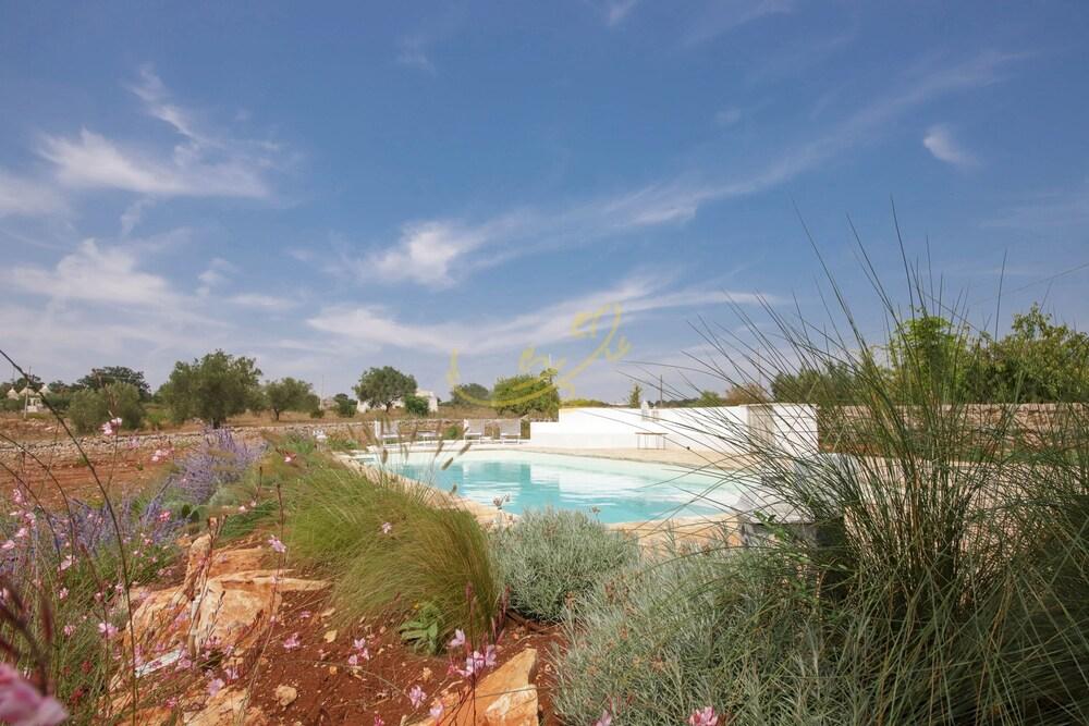 TD Trulli Perla Bianca Trulli With Pool Vineyards