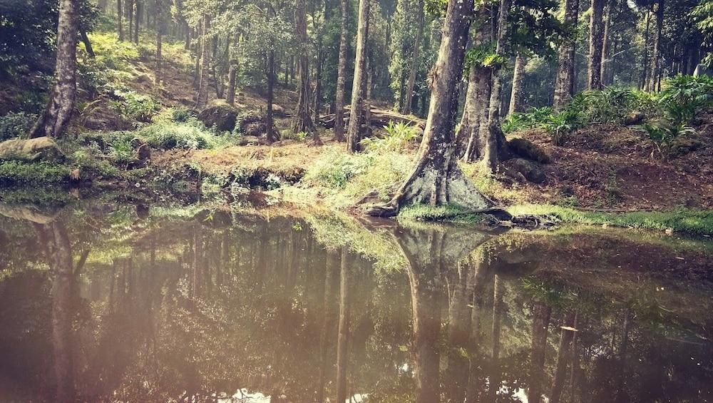 Green Mountain Resorts