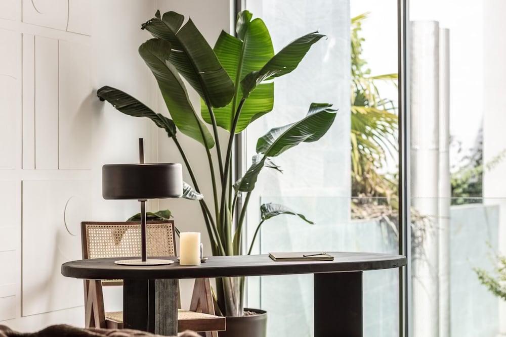 Wamba - 1 Bedroom in Goya