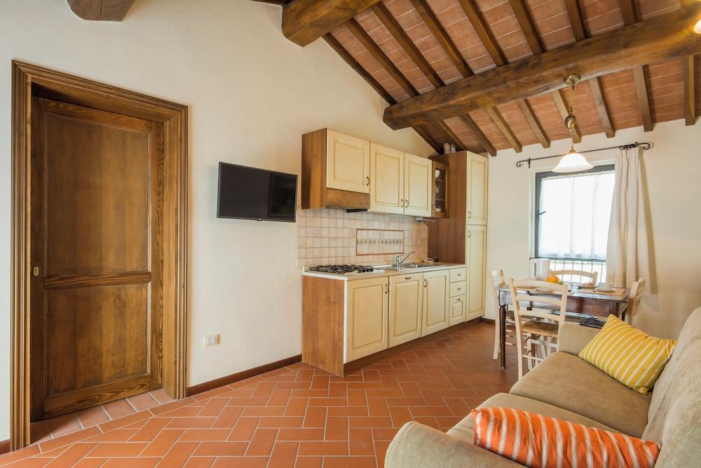 Amazing Chianti Site Olmo&pini Shared Poo